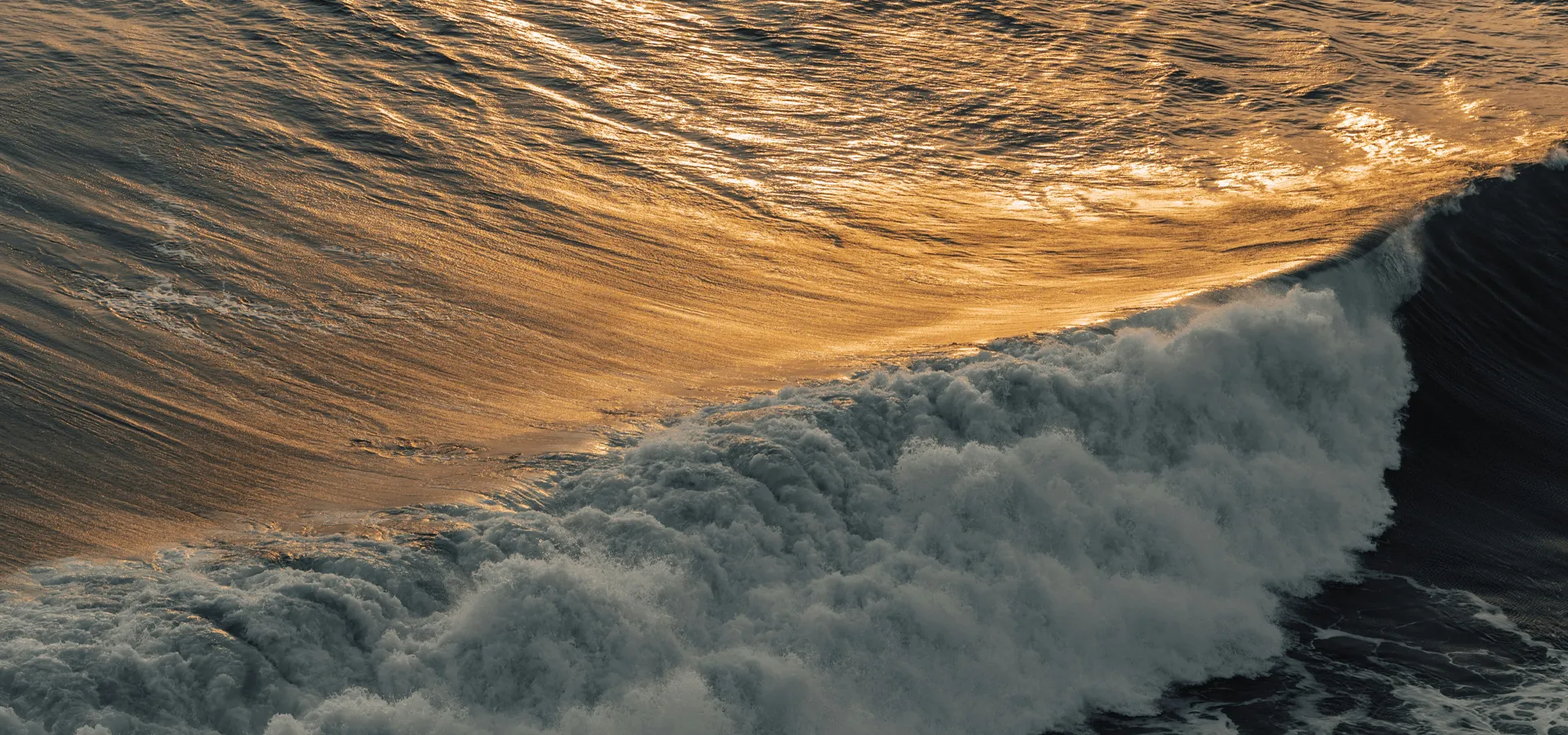 Conecta con The Partner Group